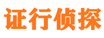 大安区私家调查公司